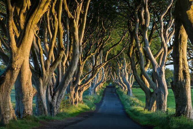 Private Northern Ireland Day Tour from Dublin - A Deep Dive into the Northern Ireland Private Day Tour