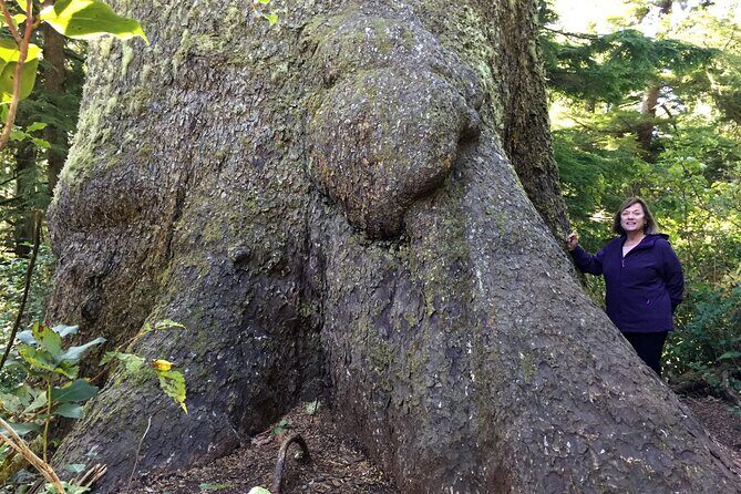 Private Northern Oregon Coast Day Trip - Who Is This Tour Best For?