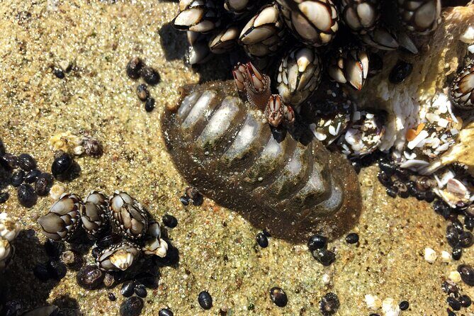 Private Northern Oregon Coast Day Trip - FAQ