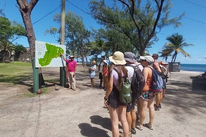 Private Northern Saint Lucia Tour - An In-Depth Look at the Private Northern Saint Lucia Tour