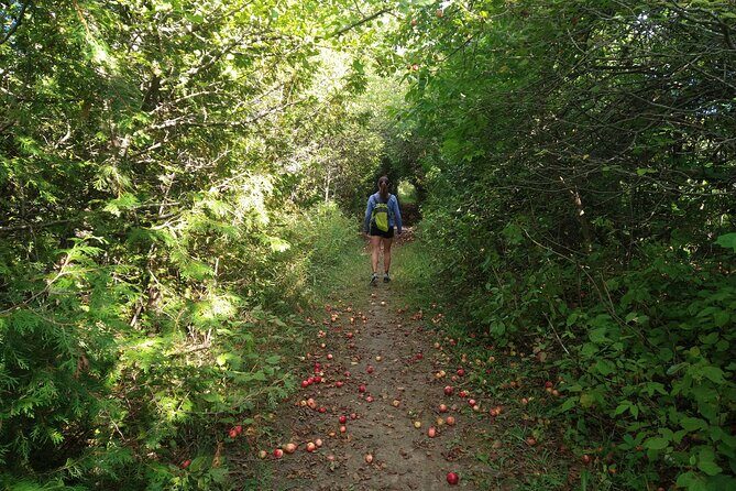 Private Nottawasaga Bluffs Caves Hiking Tour,Collingwood/Creemore - An In-Depth Look at the Nottawasaga Bluffs Caves Hiking Tour