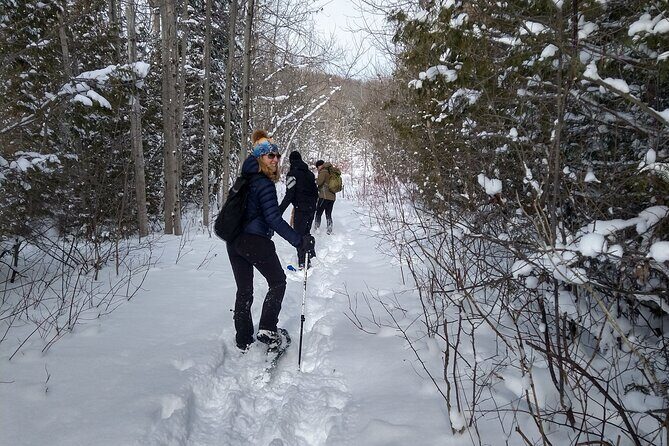 Private Nottawasaga Bluffs Caves Snowshoe, Collingwood/Creemore - Key Points