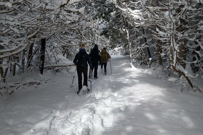 Private Nottawasaga Bluffs Caves Snowshoe, Collingwood/Creemore - Who Should Consider This Tour?