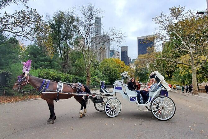 Private NYC Central Park Horse Carriage Ride (Guided) Since 1965 - Who This Tour Suits Best