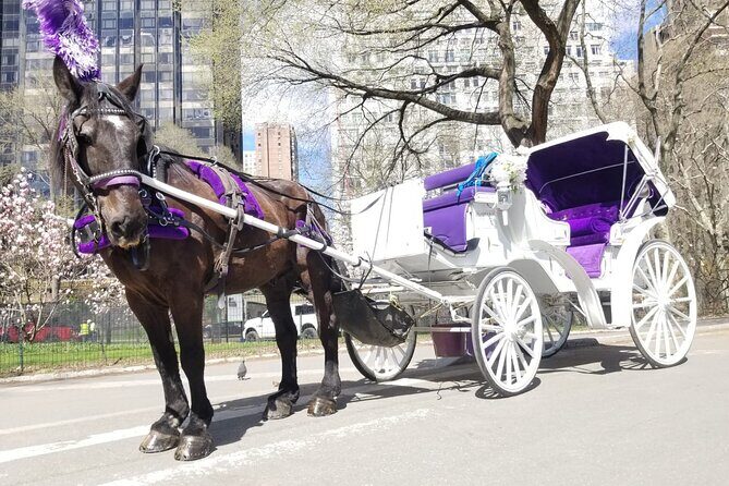 Private NYC Central Park Horse Carriage Ride (Guided) Since 1965 - Key Points