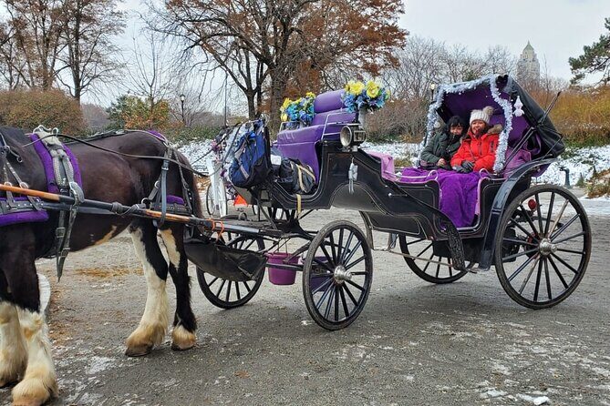 Private NYC Central Park Horse Carriage Ride (Guided) Since 1965 - The Highlights of the Experience