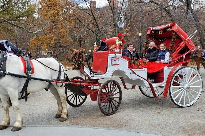 Private NYC Central Park Horse Carriage Ride (Guided) Since 1965 - Who Should Consider This Tour?
