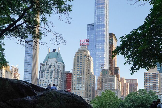 Private NYC Highlights Tour Times Square Central Park and More - Key Points