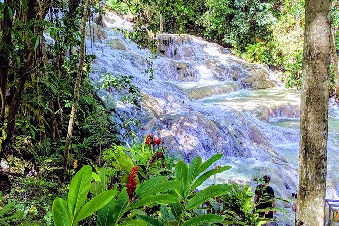 Private Ocho Rios highlight tour - An Authentic Taste of Ocho Rios: Private Highlights Tour