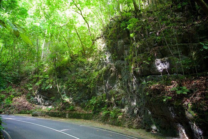 Private Ocho Rios Tour with Dunn's River Falls and Lunch - Frequently Asked Questions