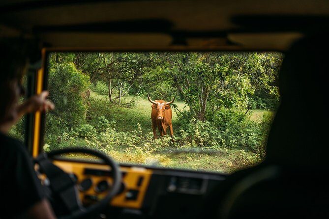 Private Off-Road Adventure Tour - A Deep Dive into the Off-Road Adventure