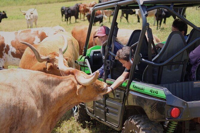 Private Off Road Explorer's Tour - Final Thoughts