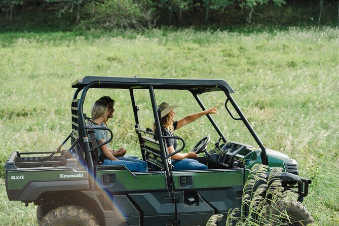 Private Off-Road Sunset Dinner - Key Points