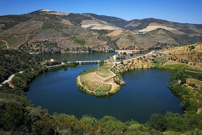 Private off the beaten Douro Valley Wine Tour - Discover the Douro Valley with a Private Off-the-Beaten-Path Wine Tour