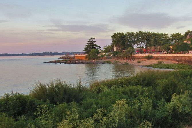 Private Old City Birdwatching - Discovering Colonia del Sacramento’s Birdlife: An In-Depth Look at the Private Old City Birdwatching Tour