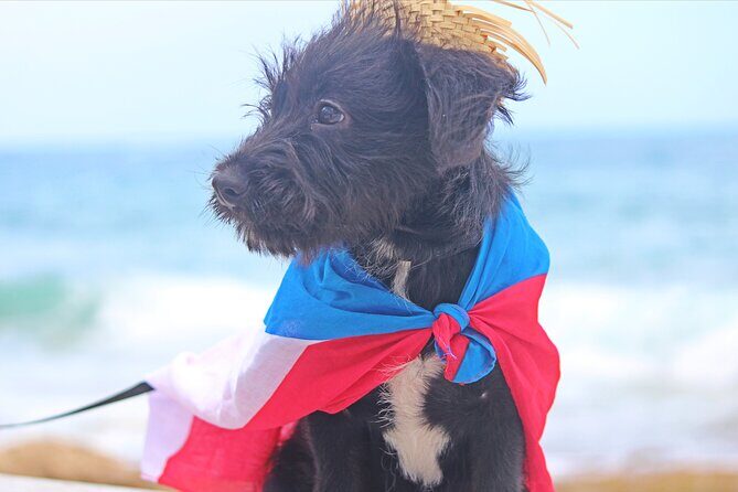 Private Old San Juan Photography - Final Recommendation