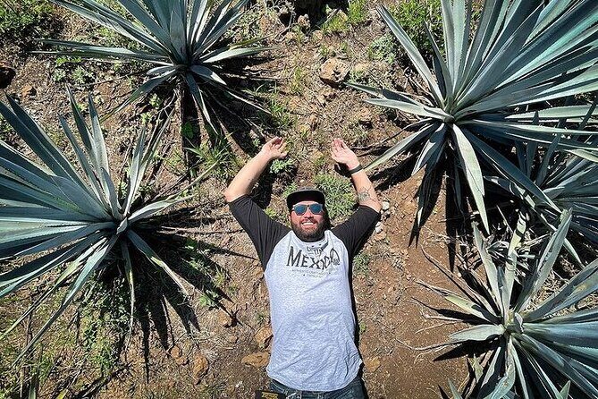 Private One Day Adventure Tour in Tequila and La Fortaleza Distillery - Authentic Experiences and High Praise