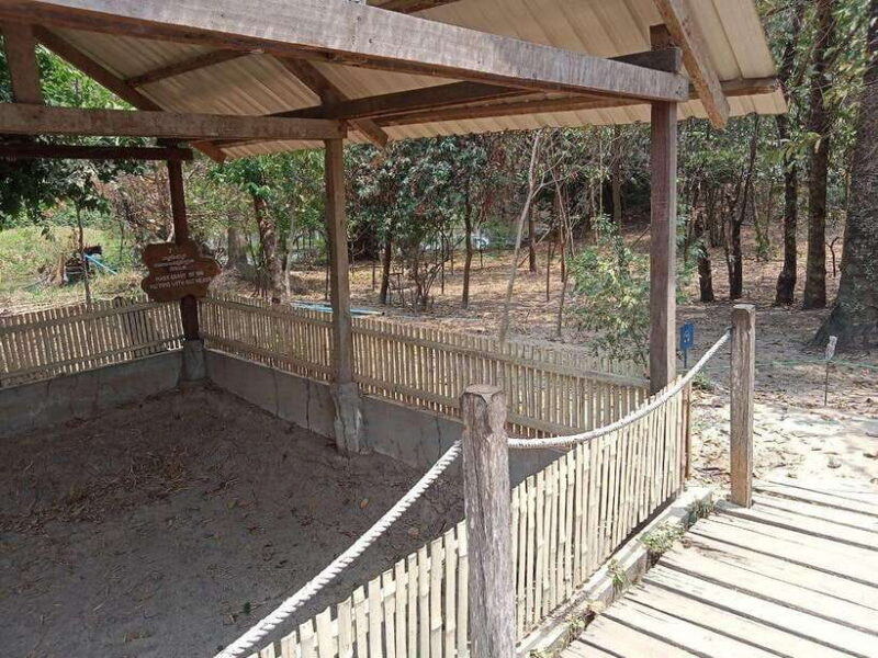 Private One Day Tour in Phnom Penh Capital City - FAQs