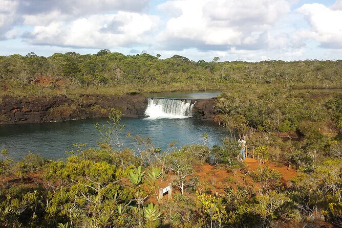 Private One Day Tour through The Deep South - In-Depth Review of the Tour Experience