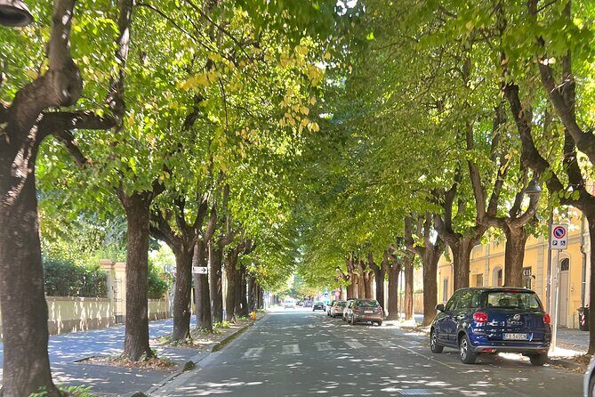 Private One Day Tour to Pisa and Lucca - Who Will Love This Tour?