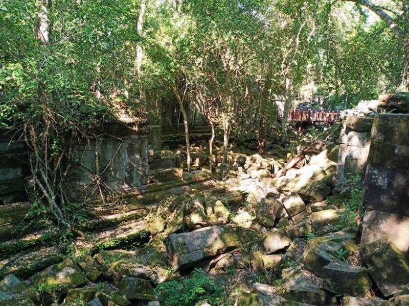 Private One Day Trip-Pyramid Temple Koh Ker and Beng Mealea - Who Will Love This Tour?