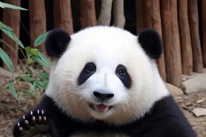 Private One Day Trip to Experience Chengdu Local Life - Exploring Chengdu in One Day: A Genuine Look at Local Life