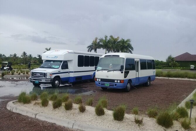 Private One-Way Transfer from Lynden Airport to Bahamas - An Honest Look at the Transfer Experience