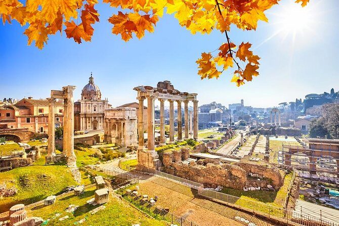 Private one way transfer from/to Rome - Naples - Authentic Reviews and Real-World Experiences