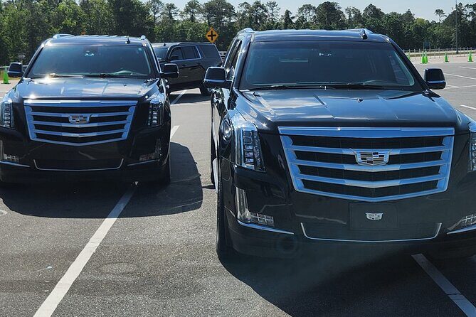 Private Oneway Pick Up from Port Canaveral to Orlando Int Airport - Who Should Consider This Service?