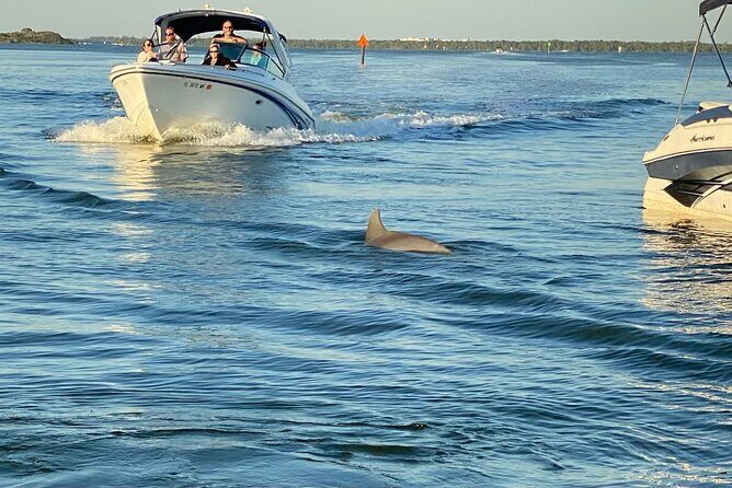 Private ONLY Dolphin Boat Tours - The Itinerary: What to Expect on Your Sunset Adventure