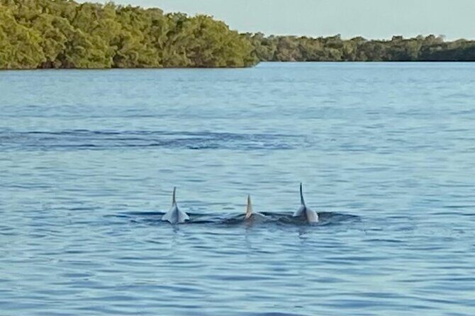 Private ONLY Dolphin Boat Tours - FAQ