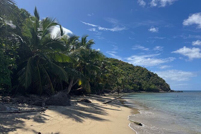 Private Open-Air Jeep Adventure with Tropic Sun Hidden Beaches - Who Should Book This Tour?