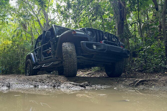 Private Open-Air Jeep Adventure with Tropic Sun Hidden Beaches - FAQ