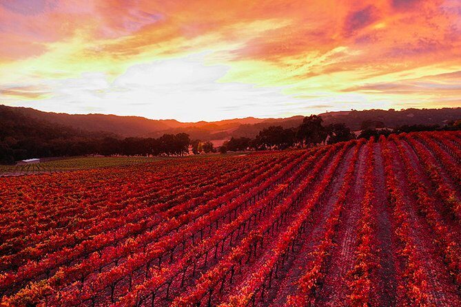 Private or Semi-Private Wine Tasting Tour from Paso Robles - What the Reviews Say