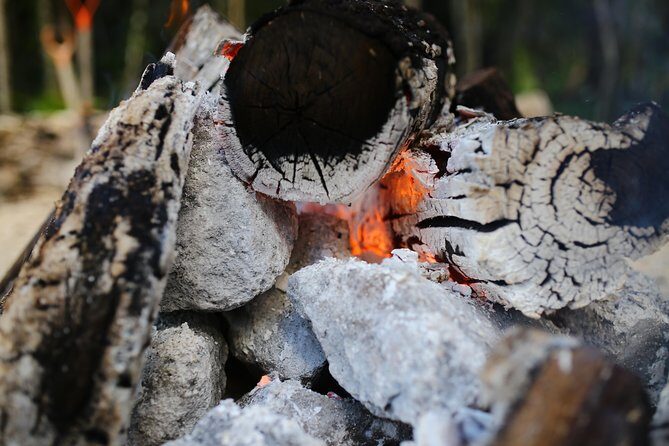 Private or Shared Mayan Temazcal Ritual from Tulum - Why This Tour Has Its Critics—and How to Decide
