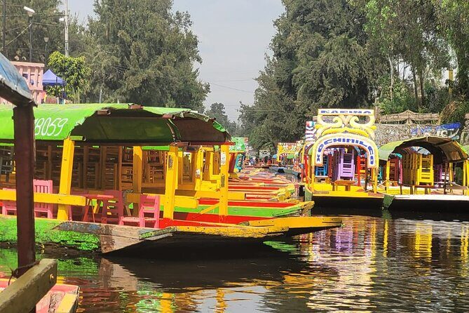 Private or Shared Tour Xochimilco Coyoacán and Frida Kahlo Museum - Key Points