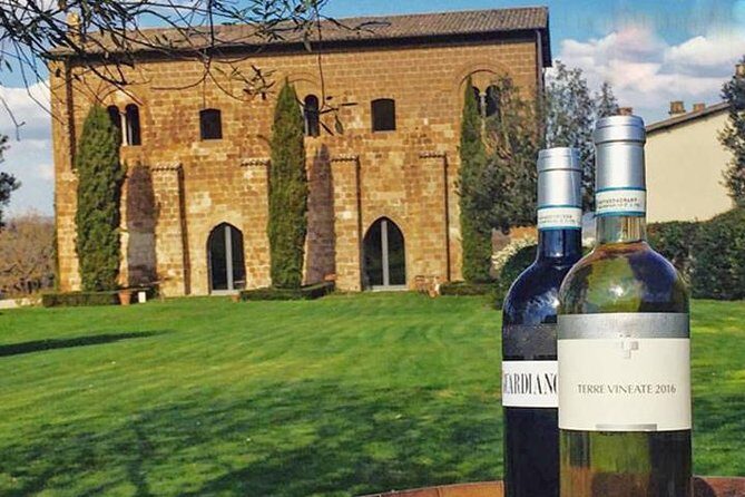 Private Orvieto Daytrip from Rome with Winery Visit - Discovering Orvieto: A Private Day Trip from Rome with Winery Visit