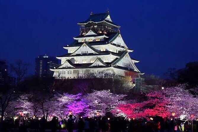 Private Osaka Tour: Omakase Bar Walking Experience - Engaging Your Senses: A Night in Osaka with a Private Guide