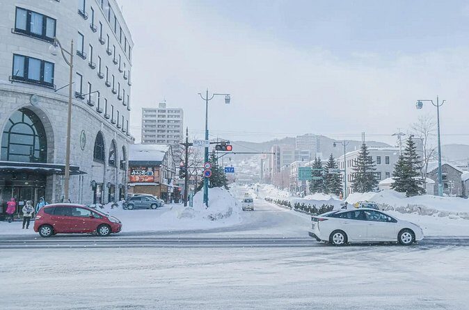 Private Otaru Shore Excursion - Who Should Consider This Tour?