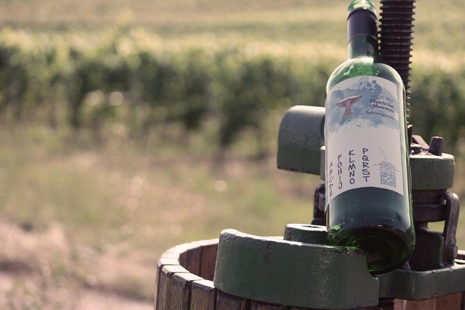 Private: Outdoor Escape Game Tuniberg: Eduardo & the Wine Secret - FAQ