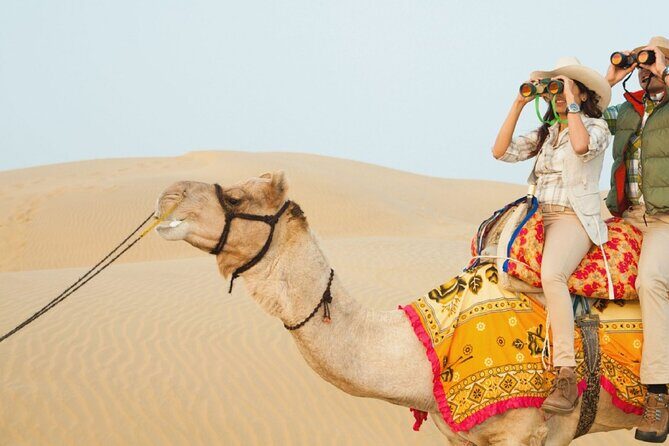 Private Overnight Safari Tour with Camel Ride - A Detailed Look at the Safari Experience
