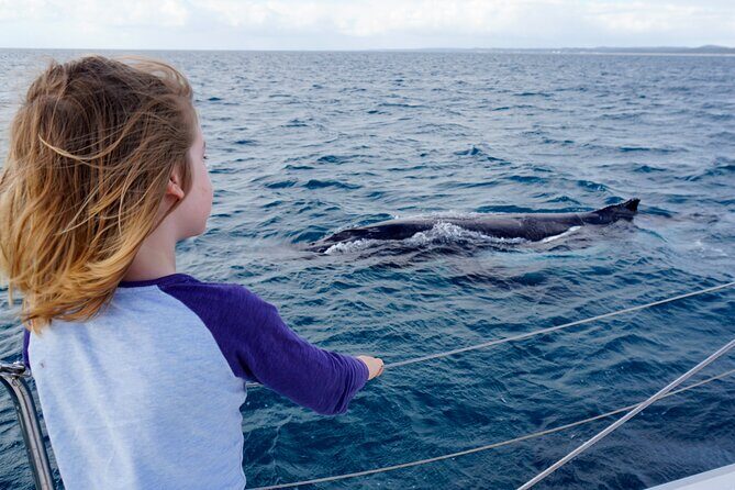 Private Overnight Skippered Humpback Whale Watch Experience - Unpacking the Experience: What It’s Really Like