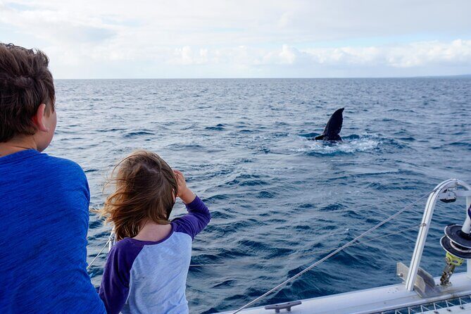 Private Overnight Skippered Humpback Whale Watch Experience - Final Recommendation