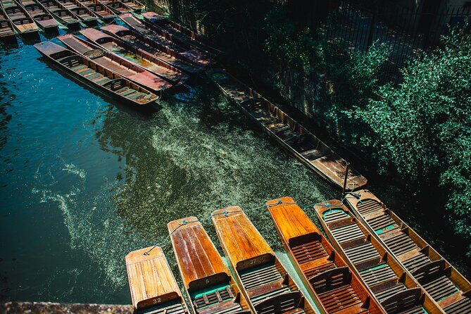 Private | Oxford University Punting Tour - An In-Depth Look at the Oxford Punting Experience