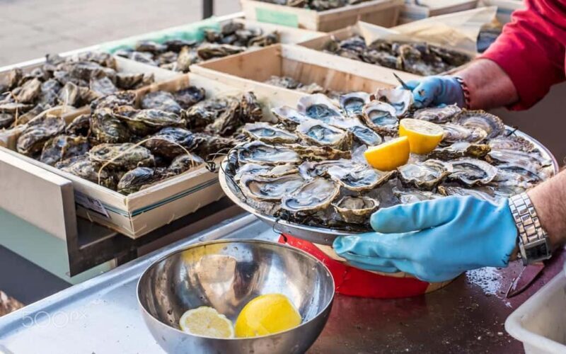 Private Oyster Tasting Tour in Mali Ston Bay From Dubrovnik - Key Points