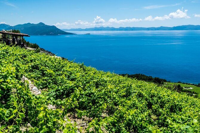 Private Oyster & Wine Tasting in Croatia - Final Thoughts: Is It Worth It?