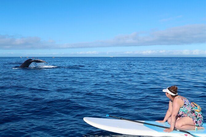 Private Paddleboard (SUP) Whale Watch: All Skill Levels Welcome - Why Travelers Love This Tour