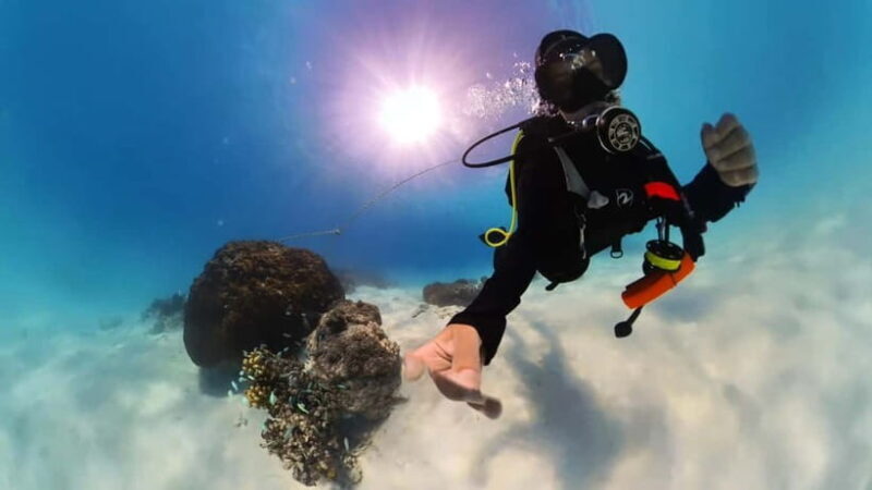 Private Padi Open water diver course - Who Is This Course Best For?