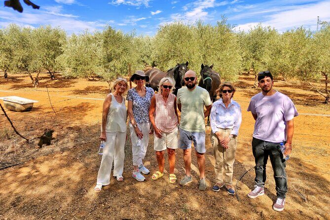Private Paella Master Class at Olivos Farm - Analyzing the Value