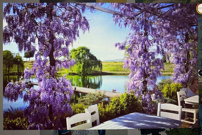 Private Paint and Sip Experience in Wine Country - Key Points